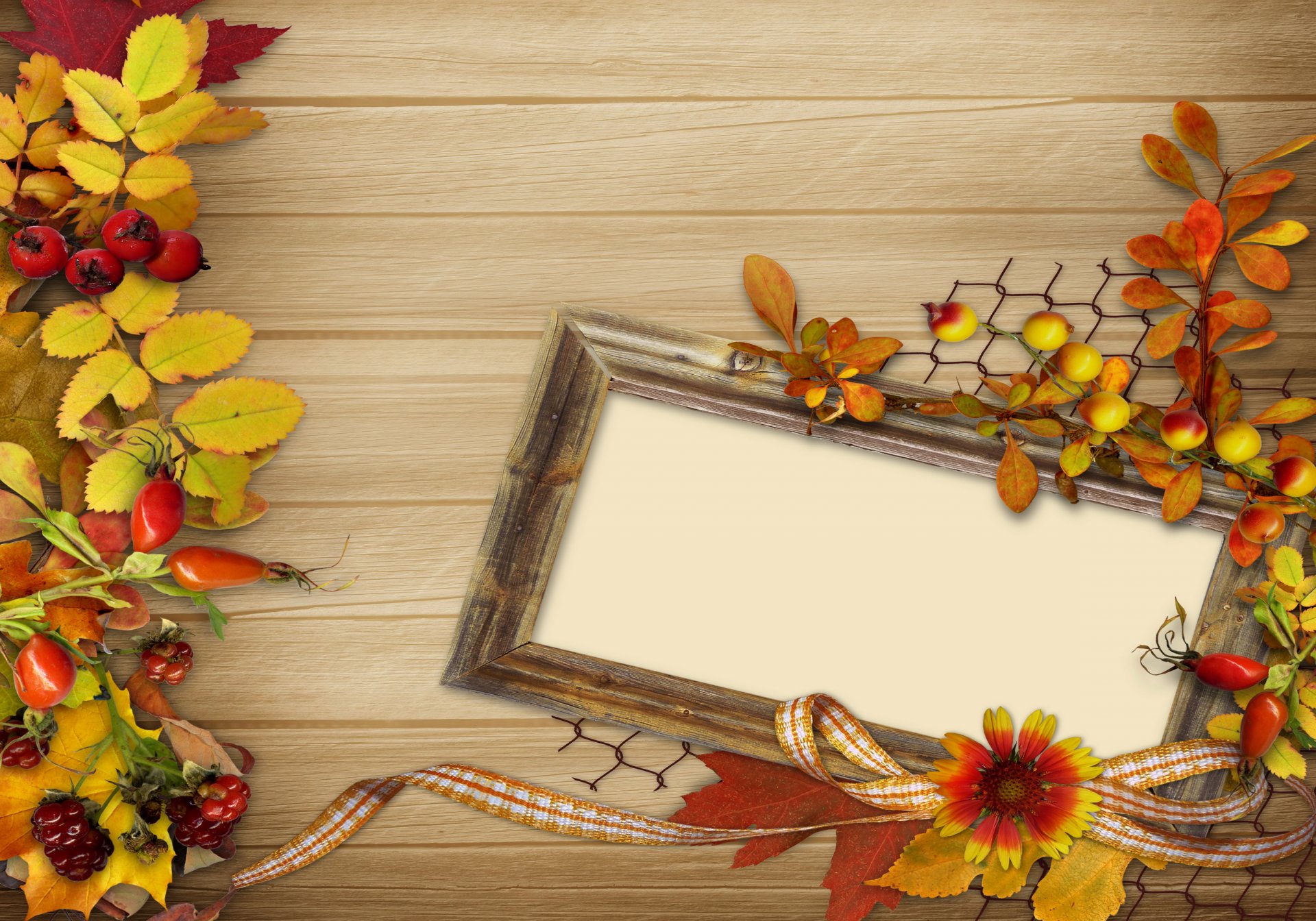 otoño vintage fondo hojas bayas flores marco