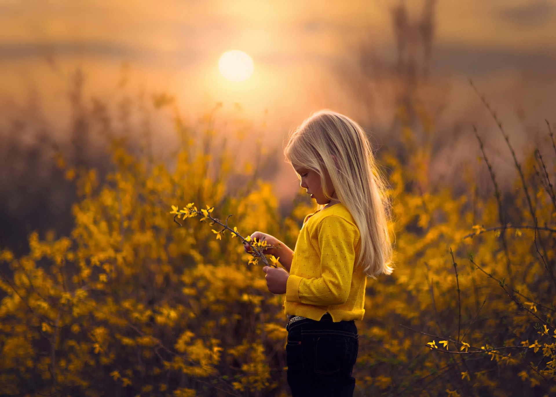 amarillo primavera niña ramita sol