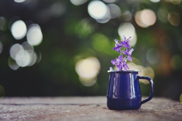 Taza de flor púrpura con reflejos en el fondo
