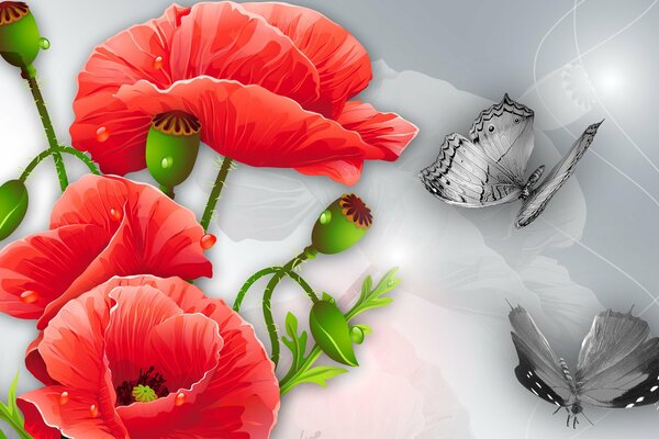 Richunok-collage de flores de amapola y mariposas