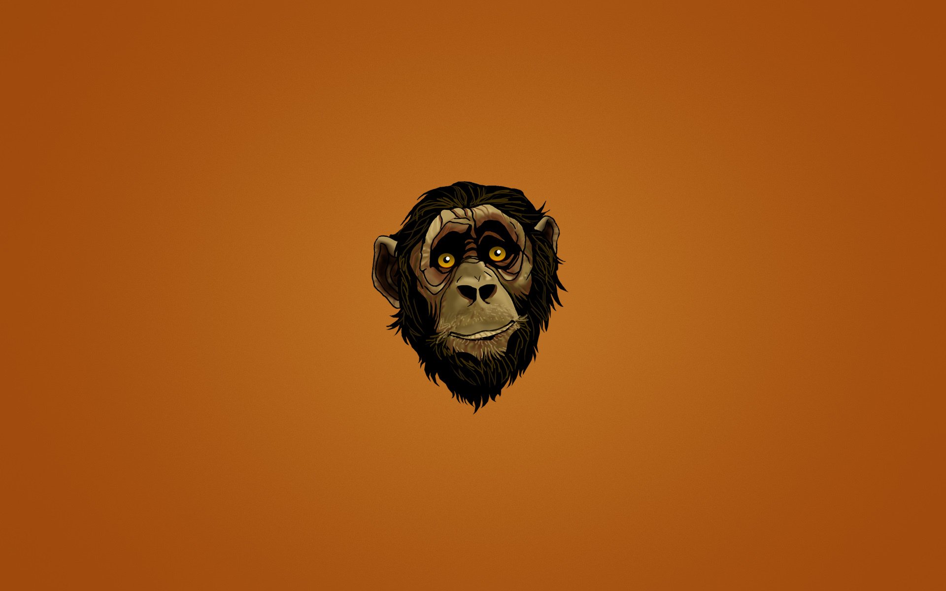 mono hocico cabeza cara mirada fondo oscuro minimalismo