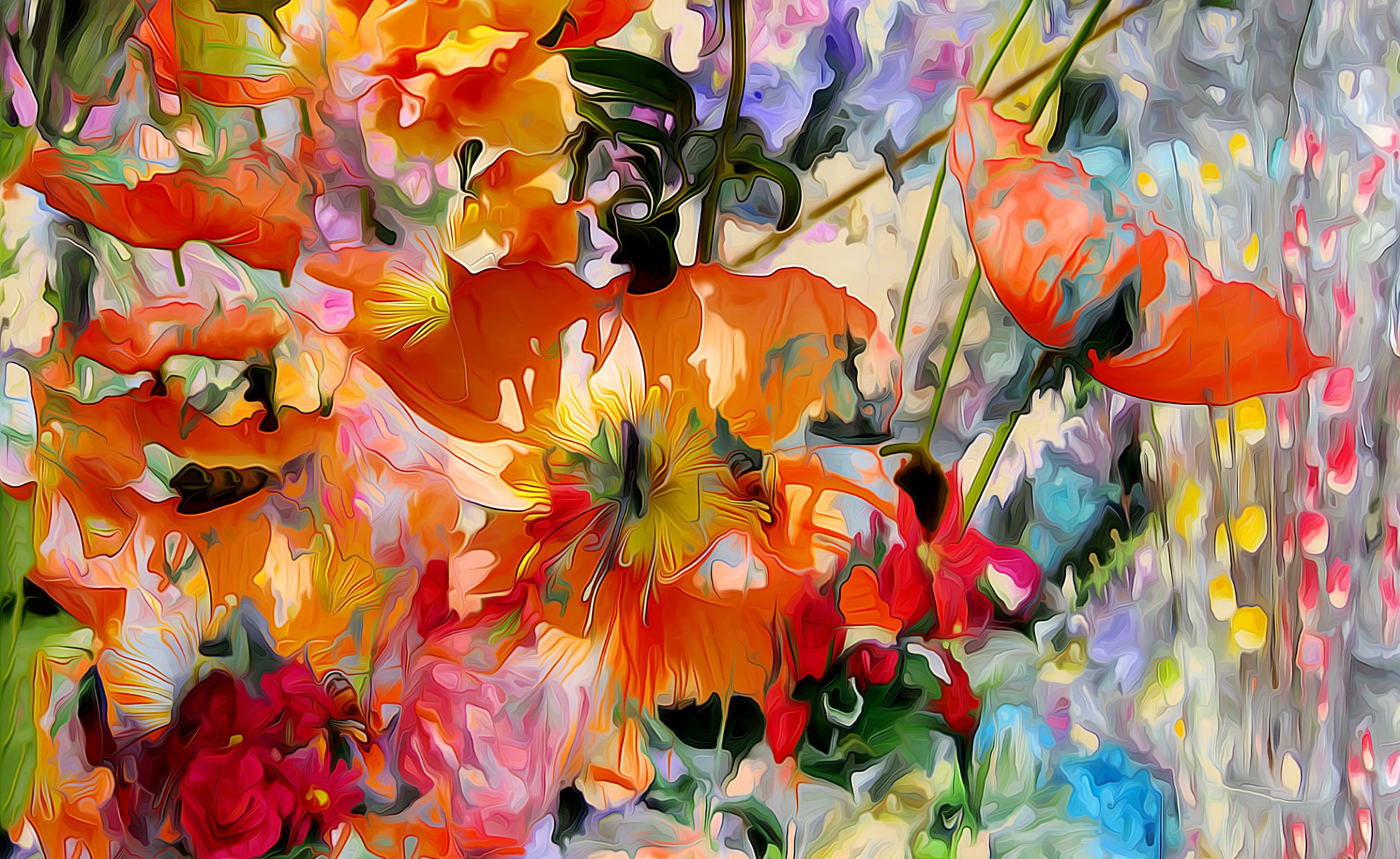 flores amapola pétalos prado jardín