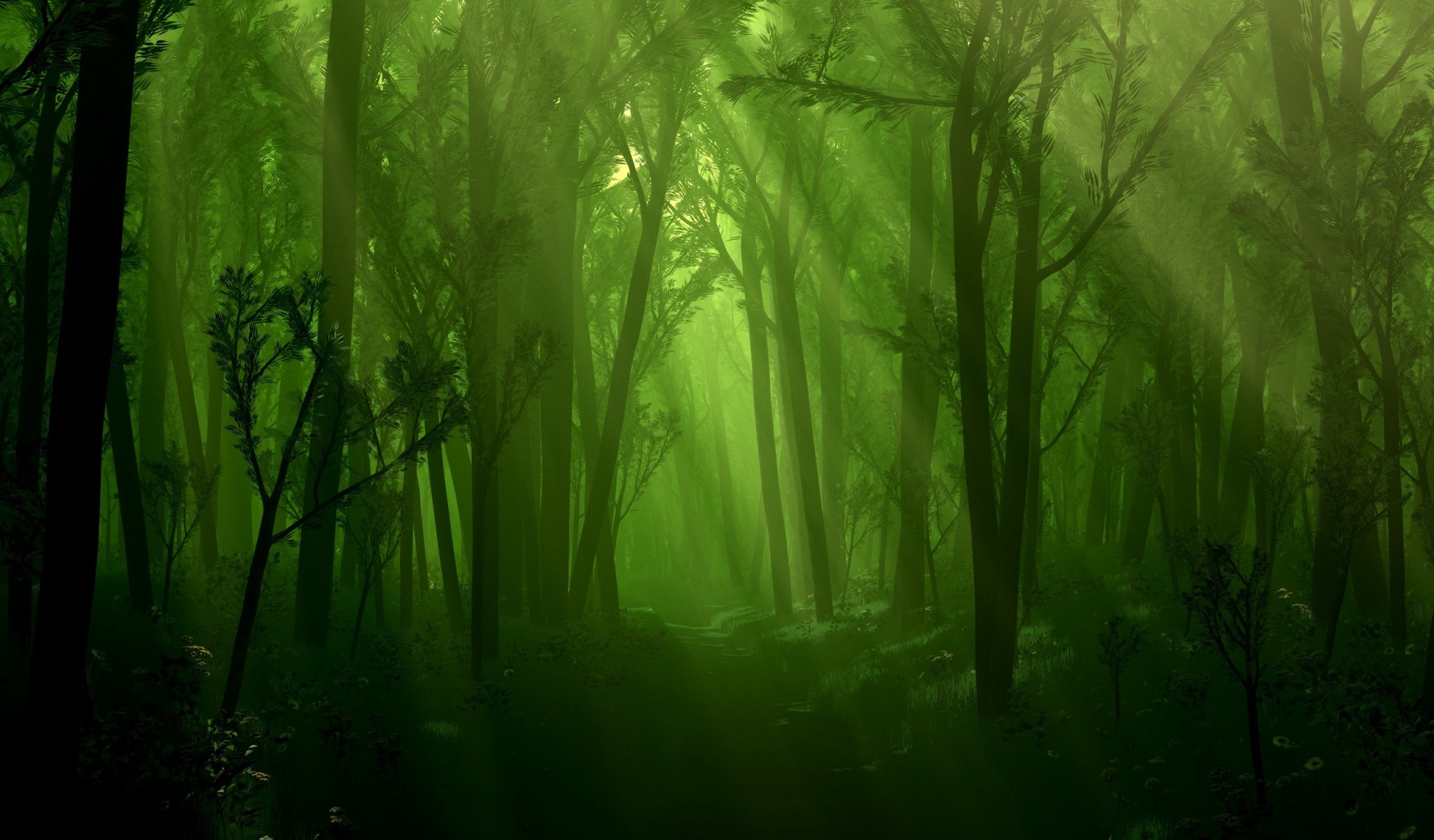 bosque arroyo luz árboles