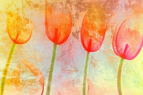 Textura de tulipán color del estado de ánimo