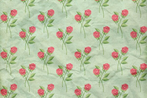 Fondo de pantalla verde frambuesa