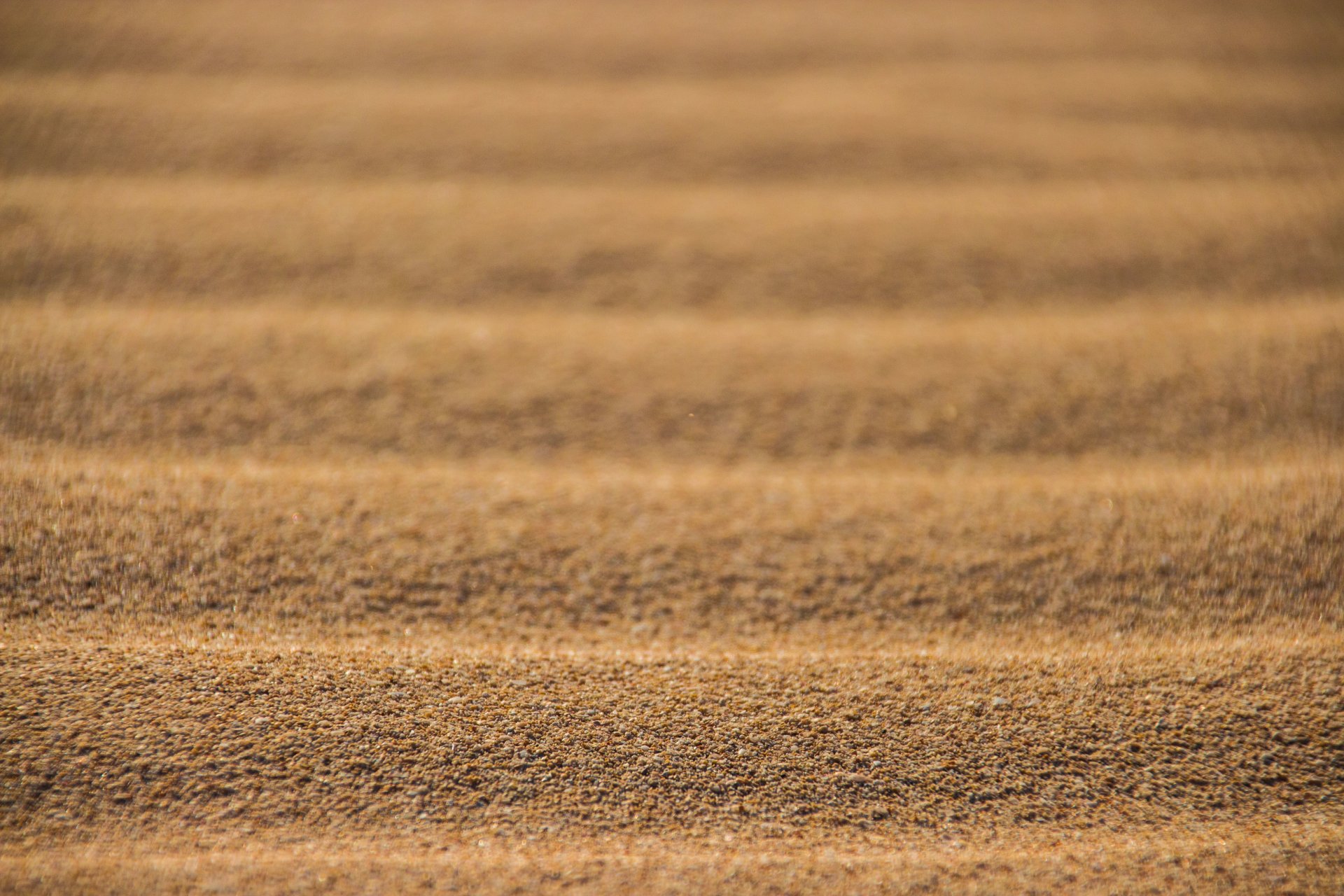 desierto arena textura