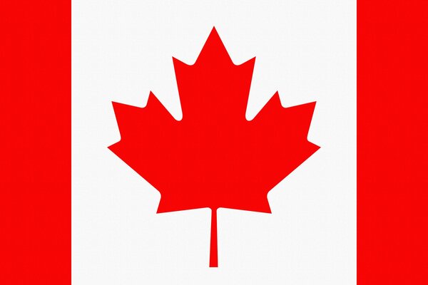 Bandera de Canadá con hoja de arce
