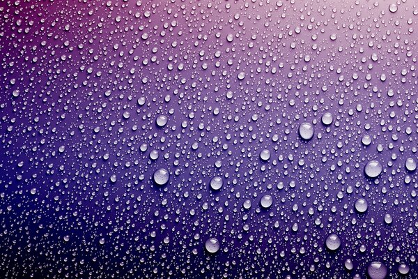 Gotas de agua sobre fondo púrpura