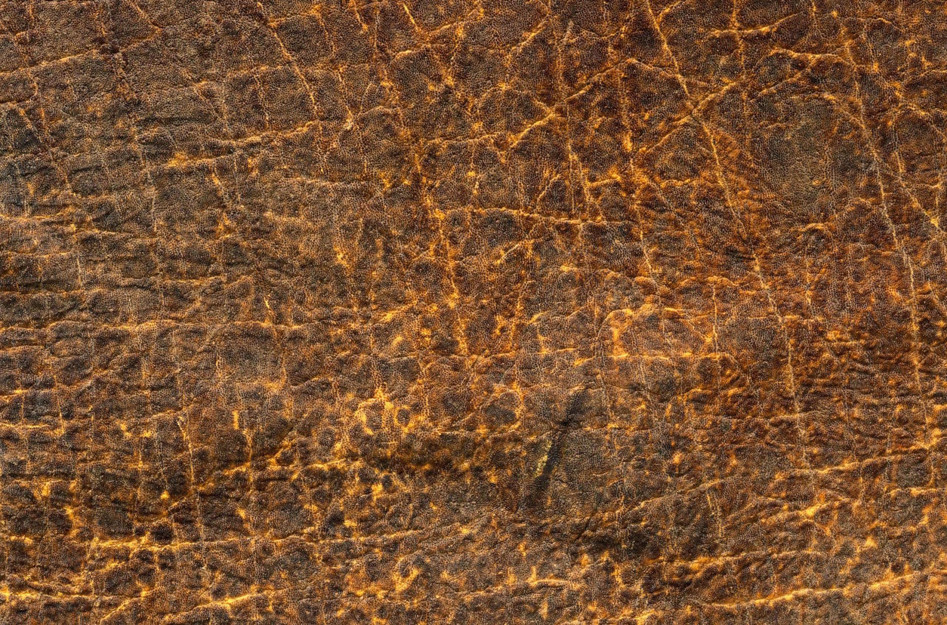 textura cuero rayas aderezo textura animal fondo de trabajo