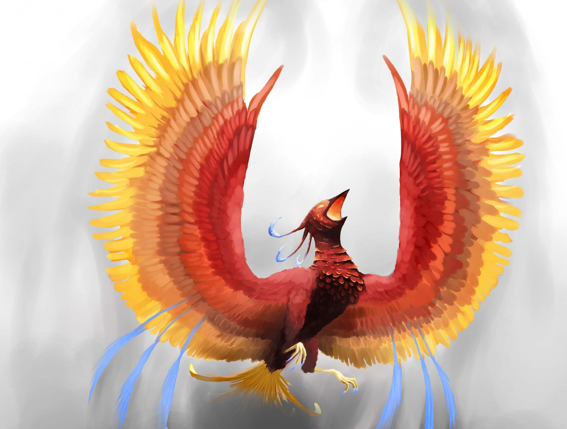 fantasía arte pájaro de fuego fénix gluv vista alas plumas fuego fondo