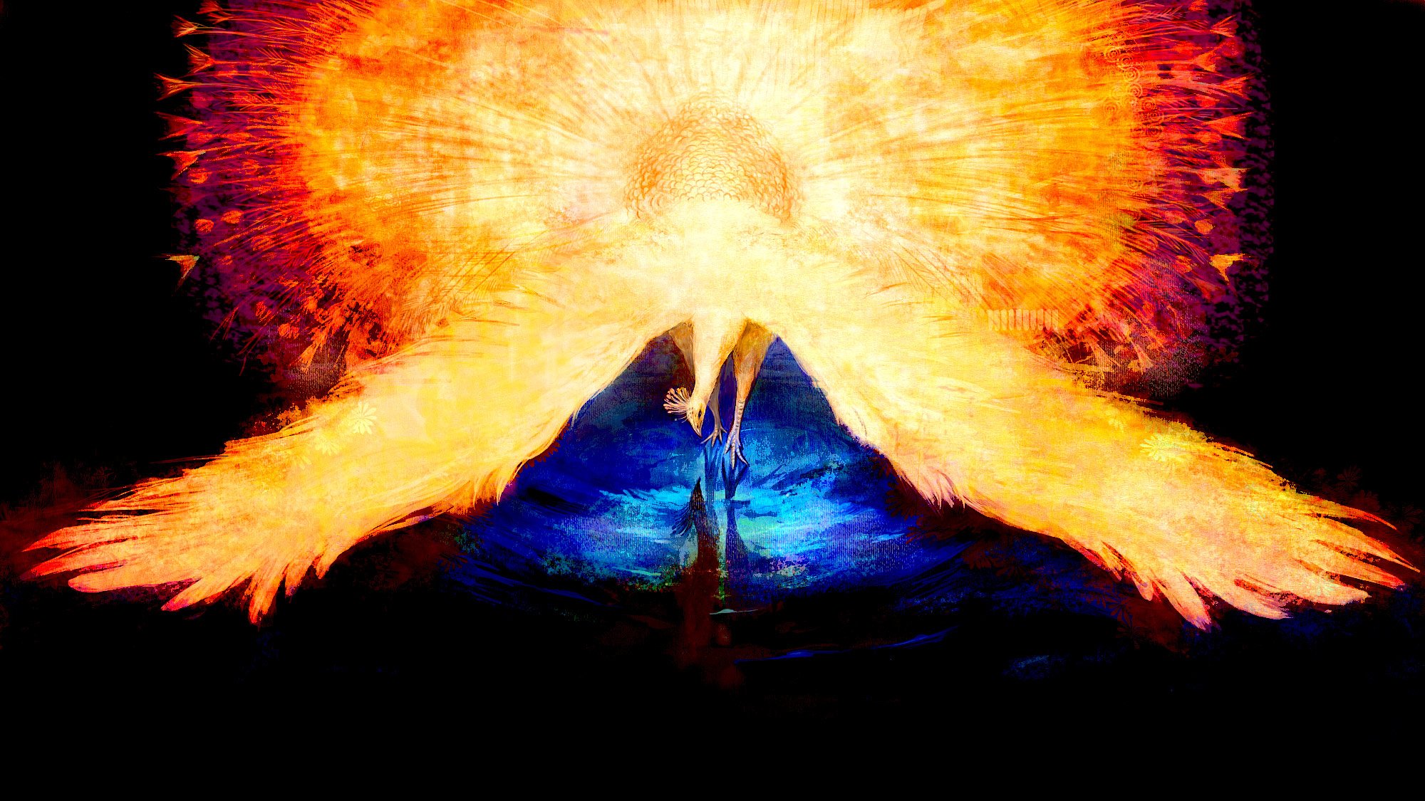 pavo real fuego plumas arco