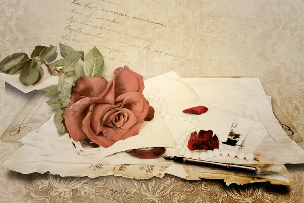 Rosa se encuentra en la carta y las notas