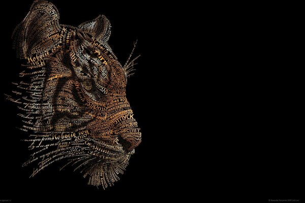 Fotografía de un tigre sobre un fondo negro