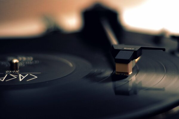 El disco de vinilo reproduce música