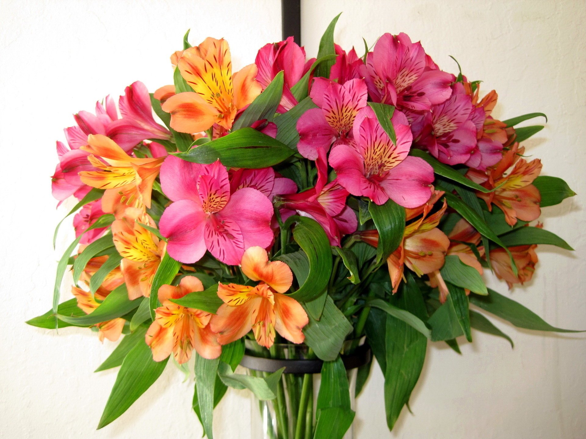 alstromeria naturaleza ramo flores flor