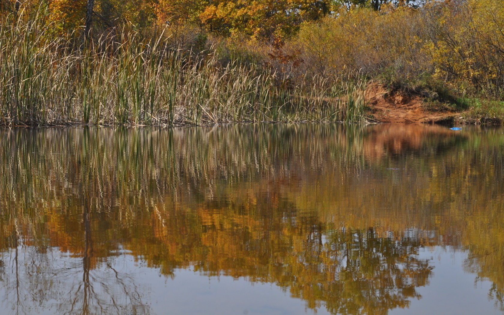 primavera otoño naturaleza