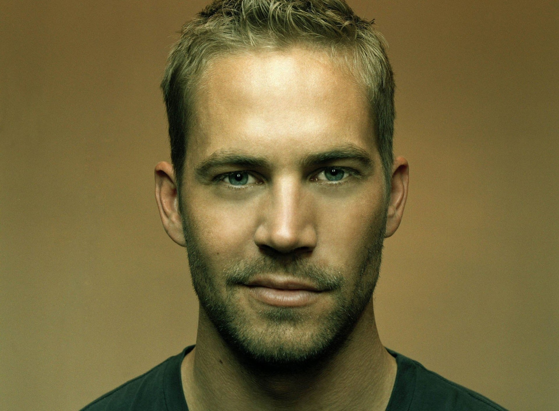 paul walker vista cerdas actor