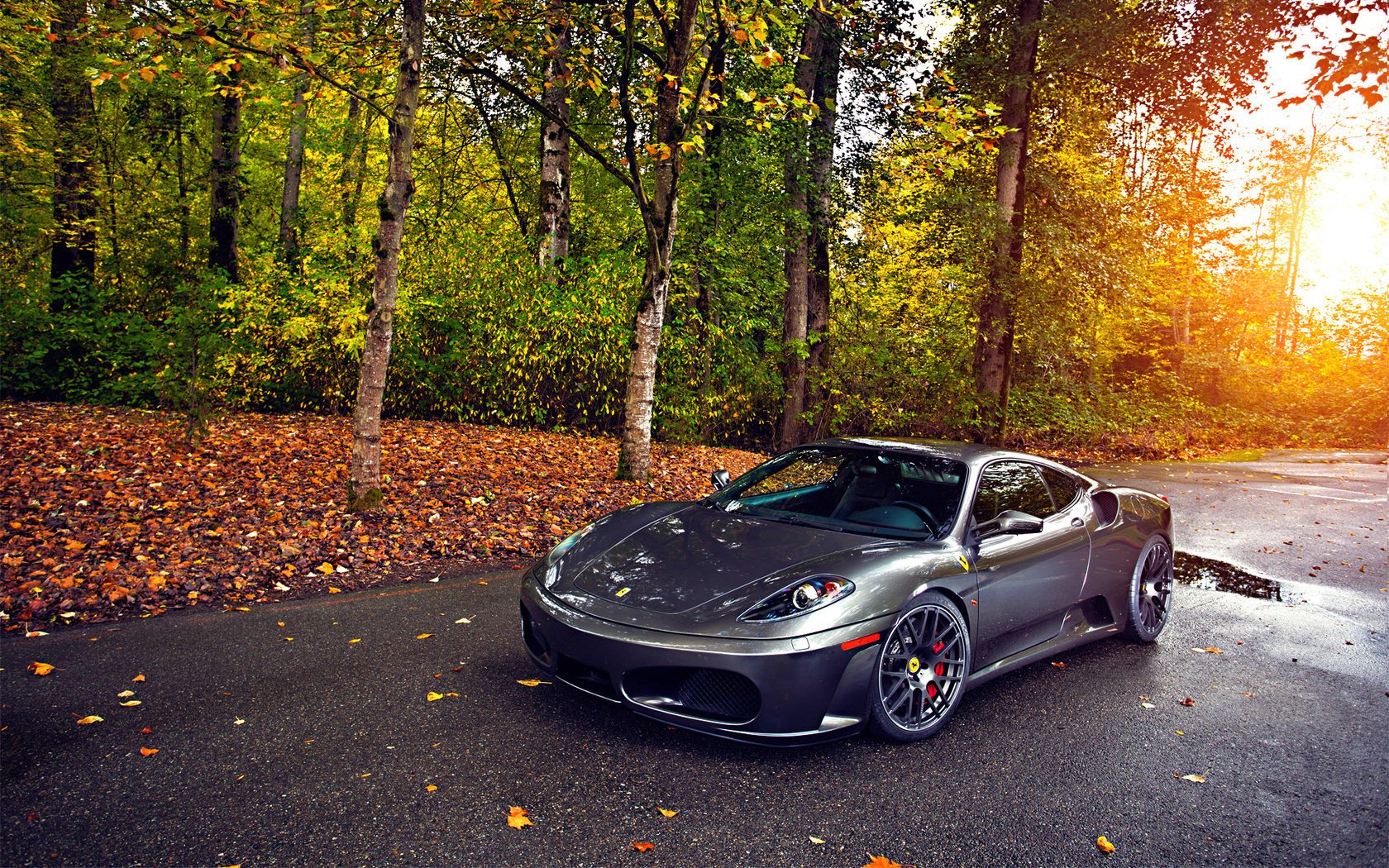 430 tuning autumn leaf green silver sun ferrari wheels tree