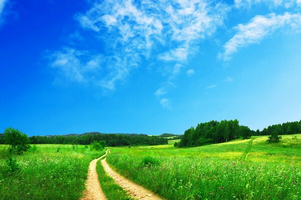Camino, campo y cielo despejado