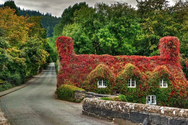 La naturaleza es muy hermosa por su paisaje