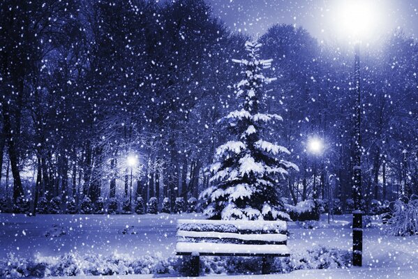 Árbol de Navidad cubierto de nieve en el parque de invierno