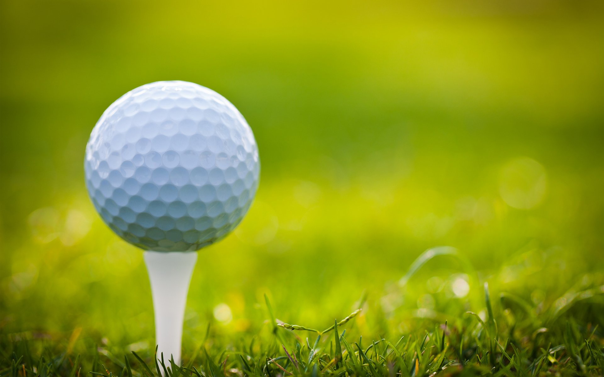 golf pelota soporte hierba césped
