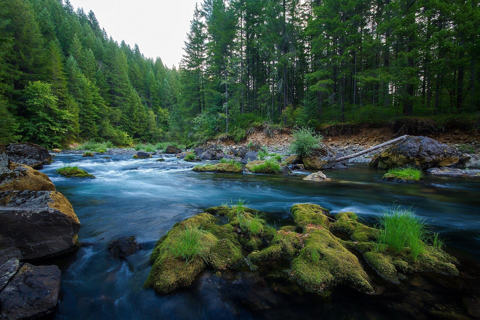 paisaje bosque rocas río