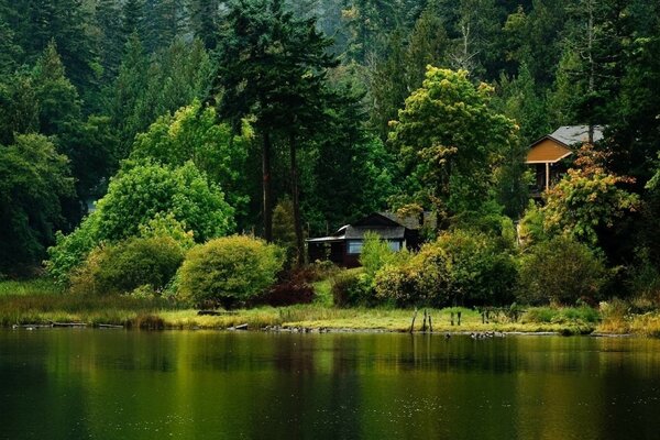 Acogedora casa junto al río en un bosque verde