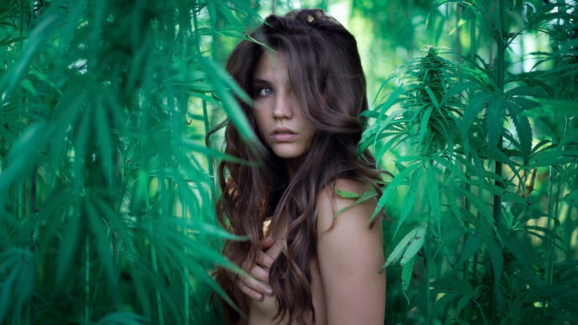 canapé desnudo chica verde mirada naked