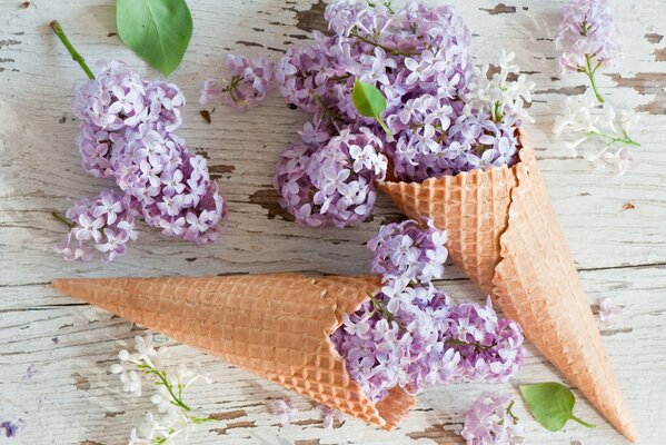 Cuerno de Waffle con flores de lila
