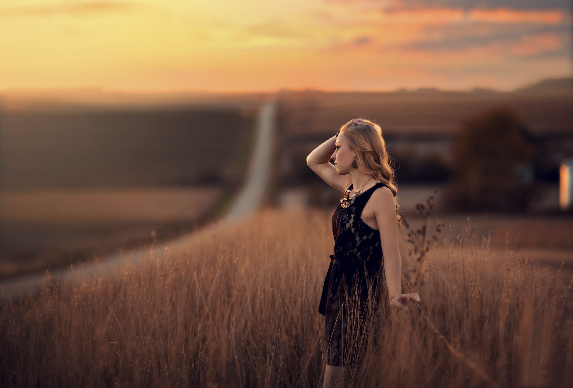 campo camino espacio