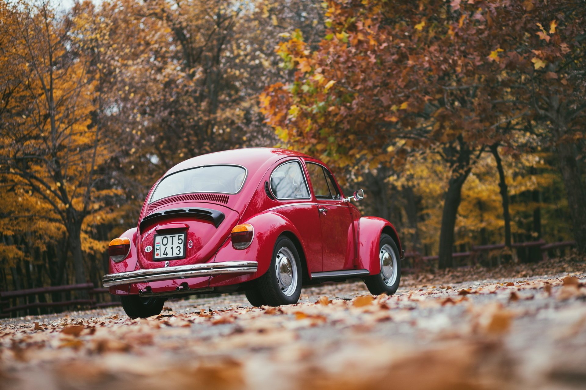volkswagen retro otoño rojo trasero hojas