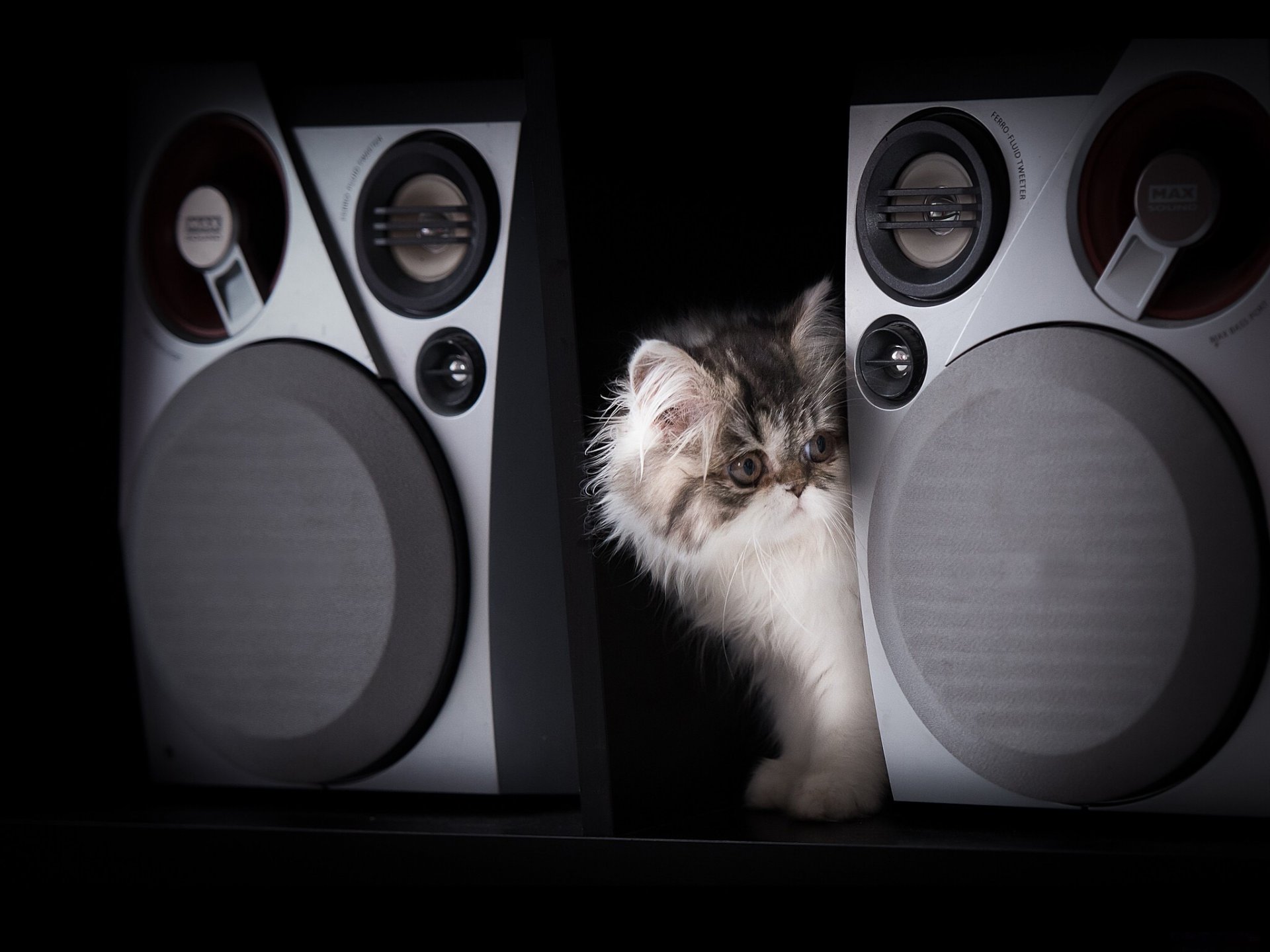 altavoces de música