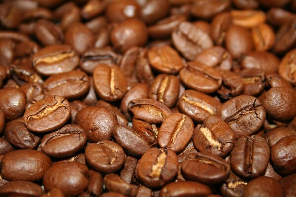 Foto de granos de café tostados