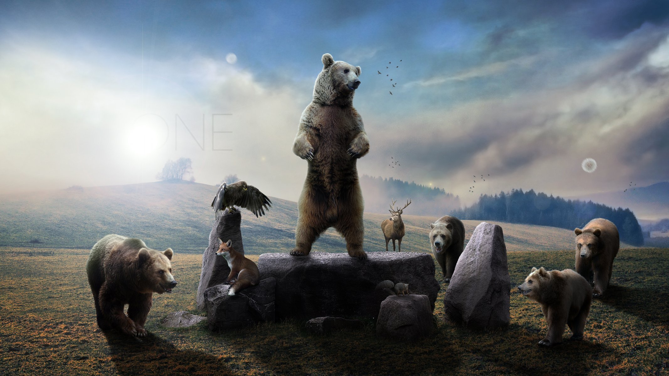 oso zorro alce águila