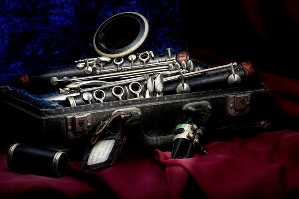 Caja de clarinete de terciopelo