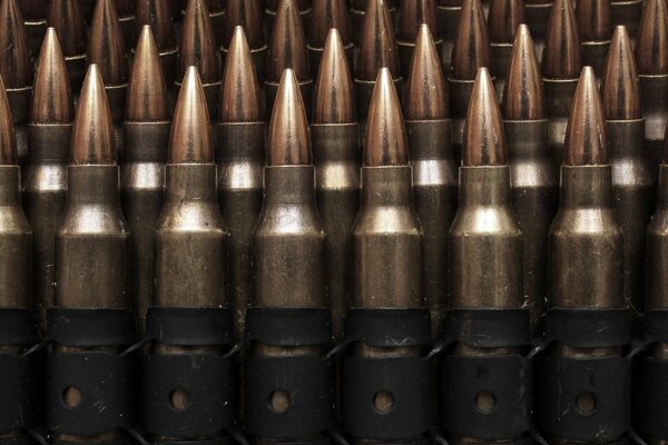 Gran cantidad de casquillos en el polvo