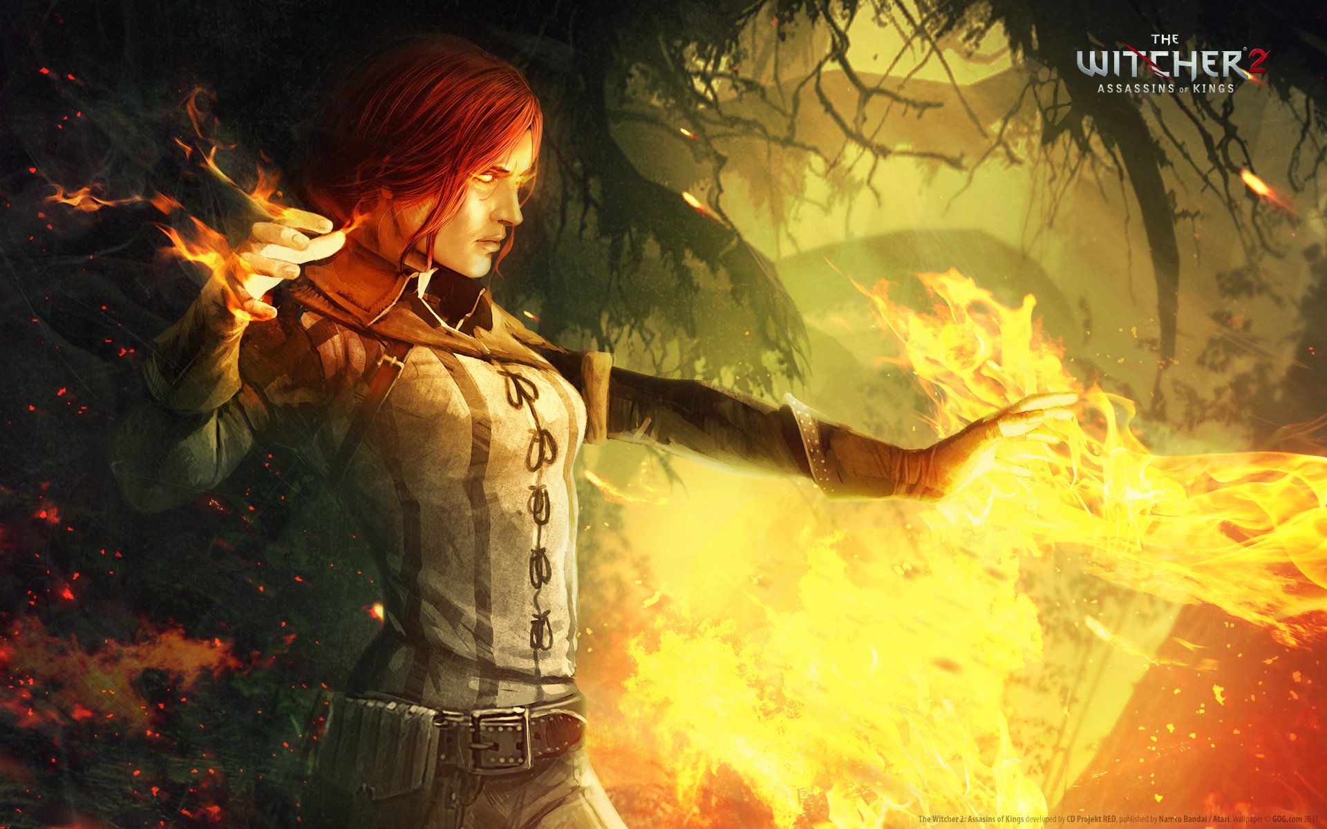 the witcher 2 asesinos de reyes triss fuego