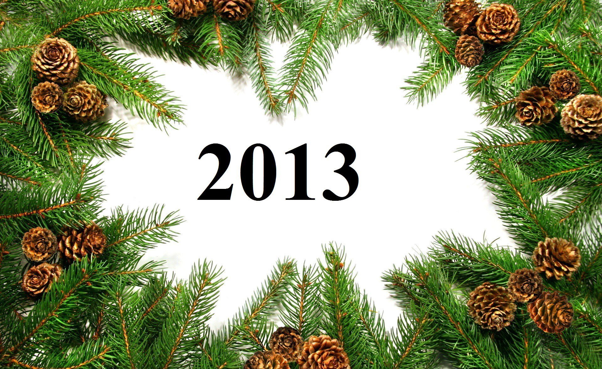 feliz año nuevo nuevo 2013 año ramas conos