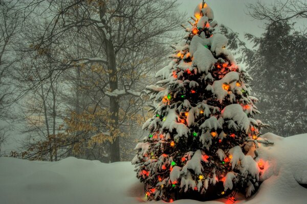 Un árbol de Navidad en guirnaldas se encuentra en el bosque