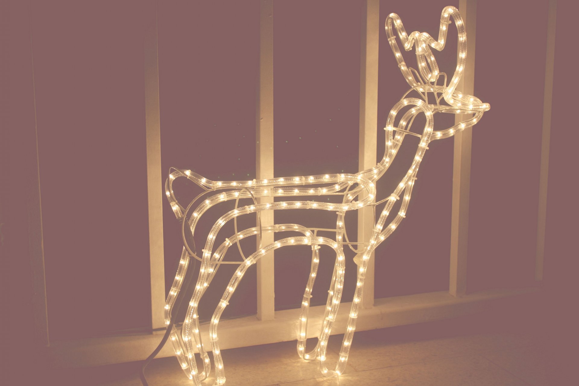 ciervos lámpara bombillas año nuevo navidad