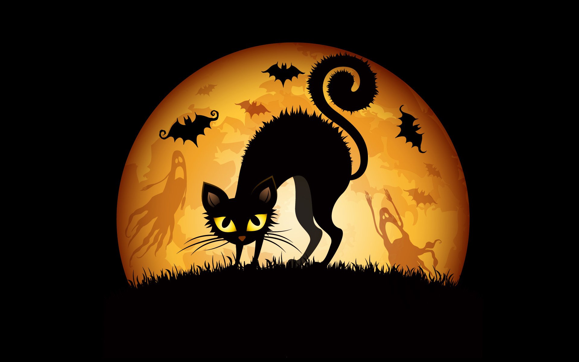 halloween gato fantasmas murciélagos luna hierba