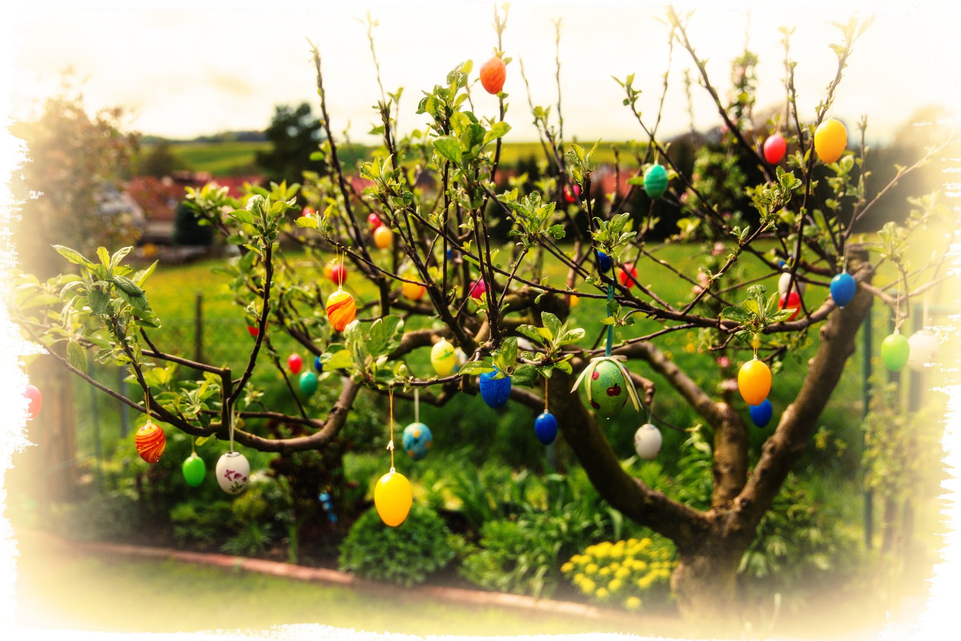pascua huevos ramas hojas