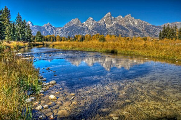 Lago de otoño transparente en el bosque