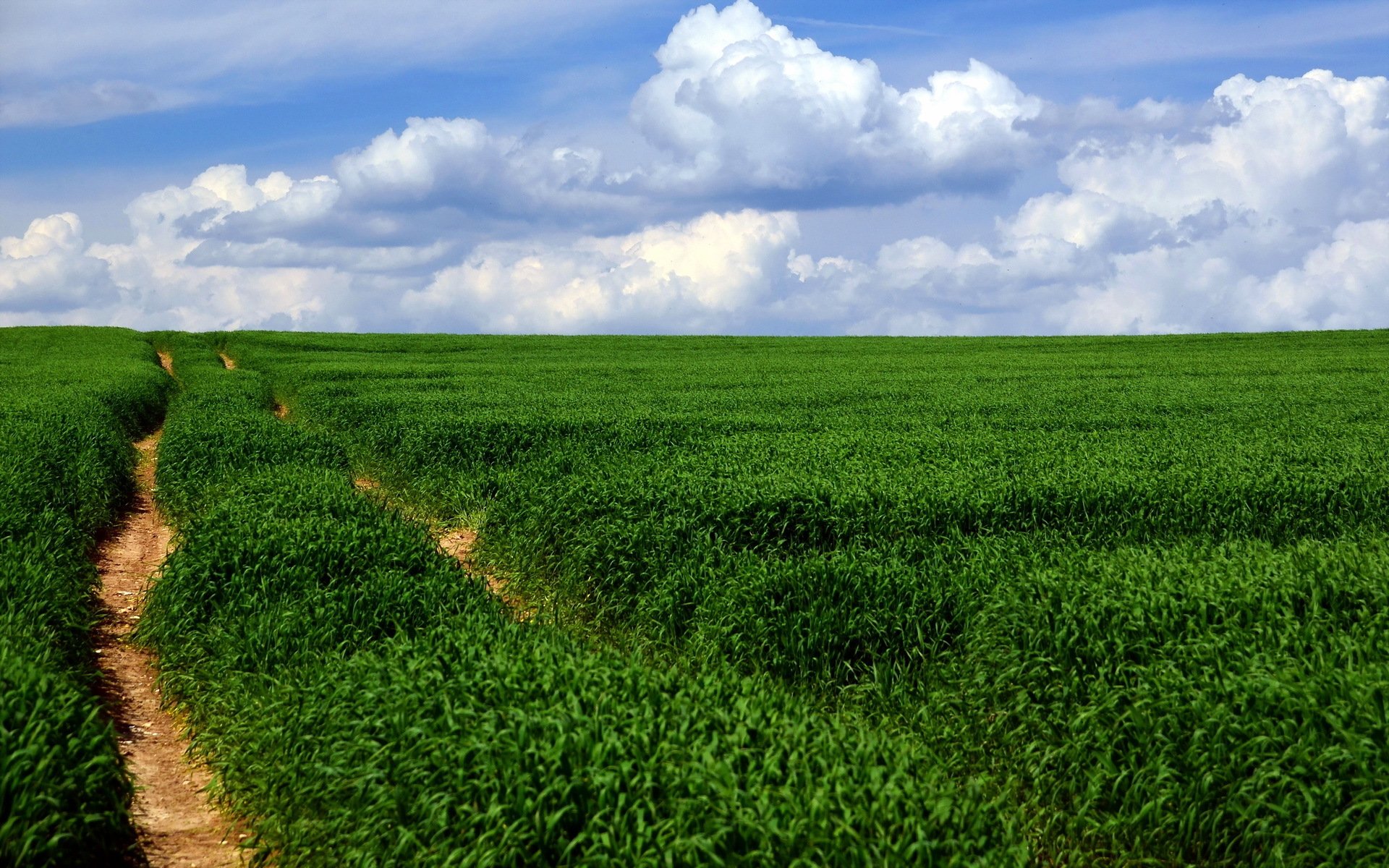 campo camino paisaje