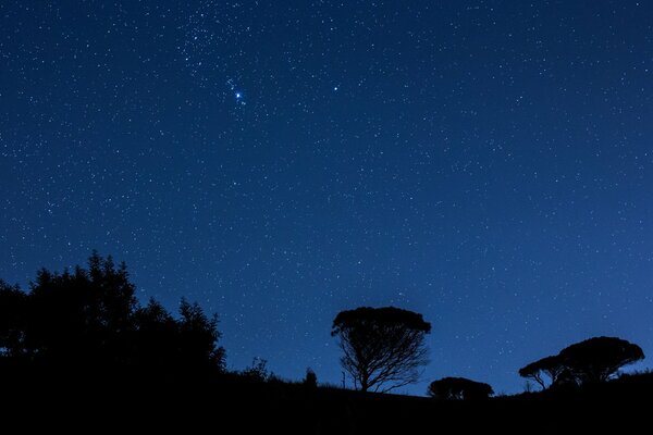 Vista del cielo nocturno con las estrellas en Italia