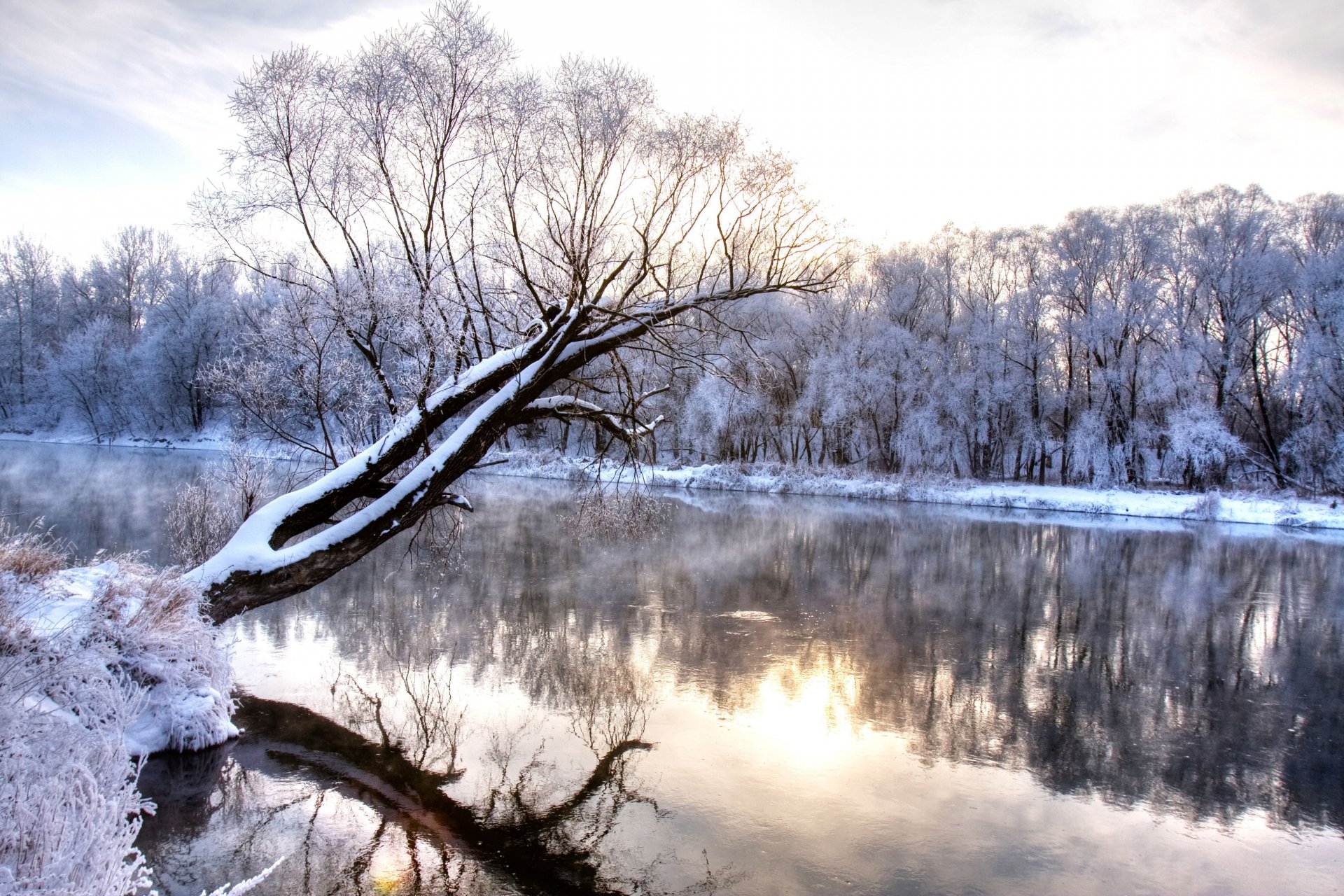 invierno río rama bosque congelado paisaje de la naturaleza estación fría maravillas invierno frío escarcha cubierto de nieve árboles río naturaleza paisaje reflexión