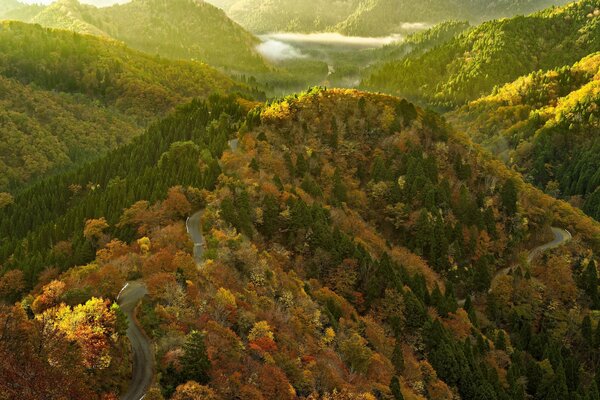 Caminos en las montañas en otoño