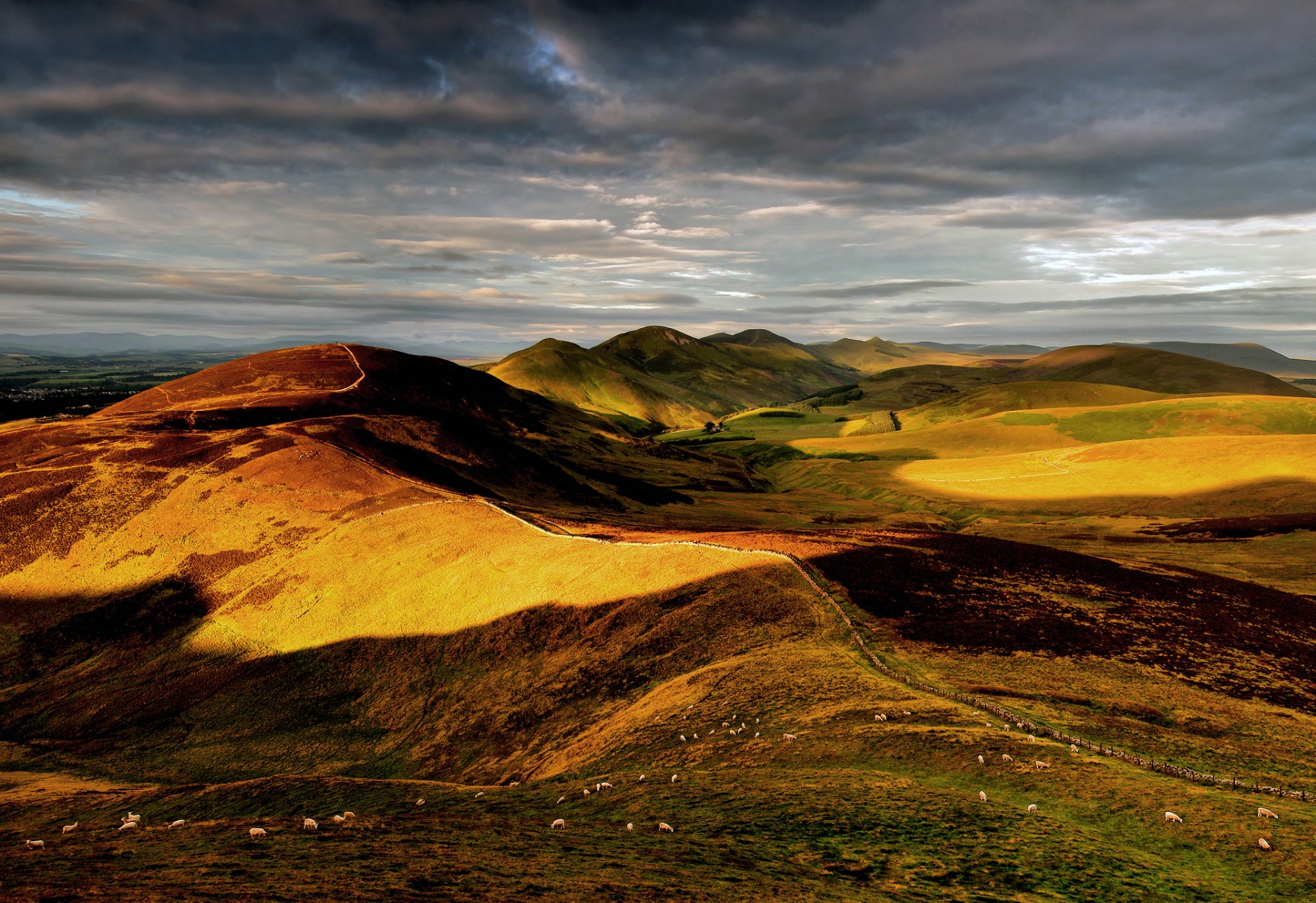 colinas inglaterra gran bretaña cielo ovejas