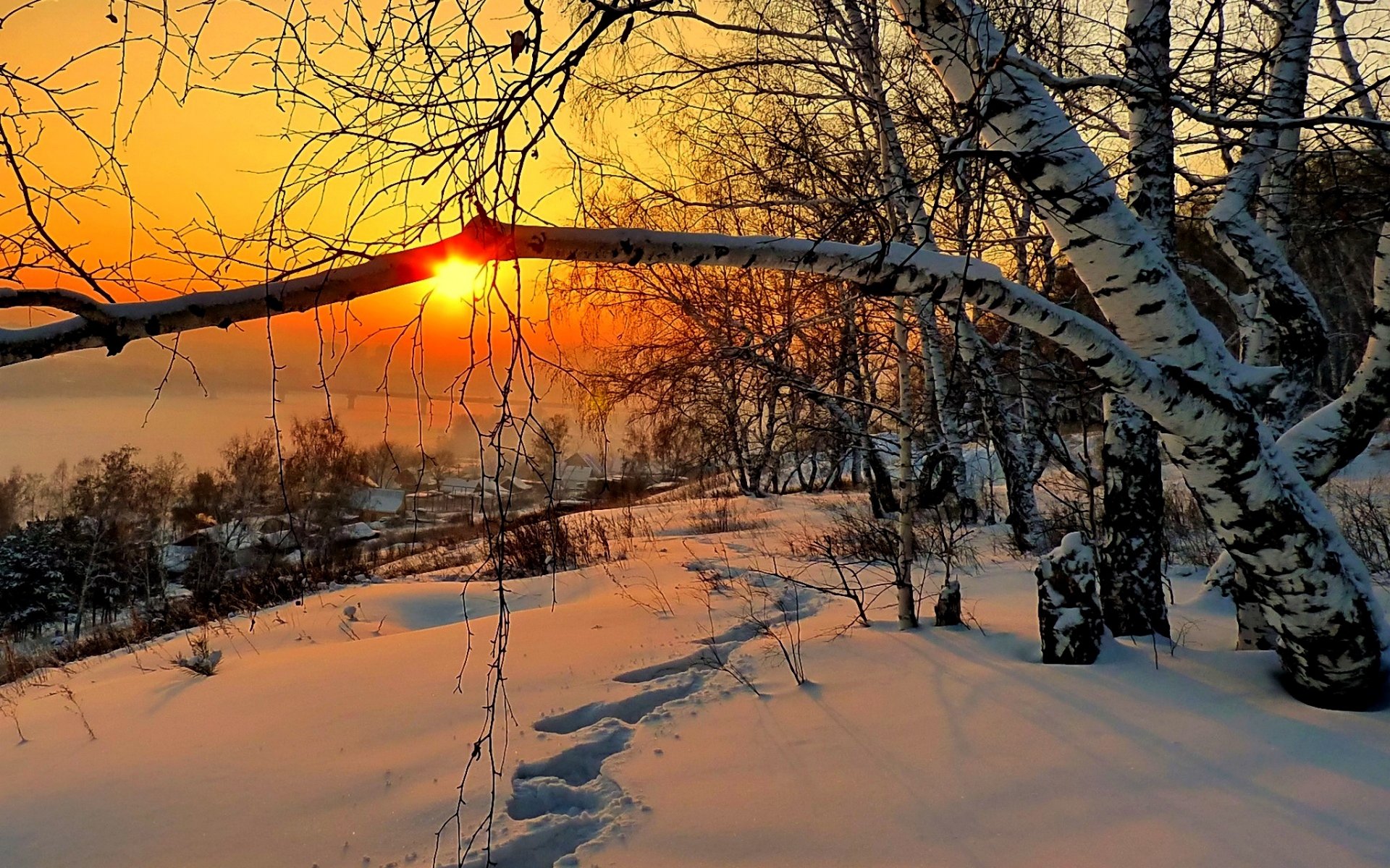 naturaleza casa invierno nieve cielo paisaje invierno blanco fresco agradable puesta de sol